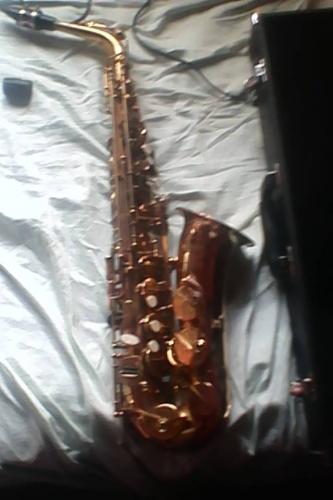 vendo saxofon marca palmer en muy buen estado - Imagen 1