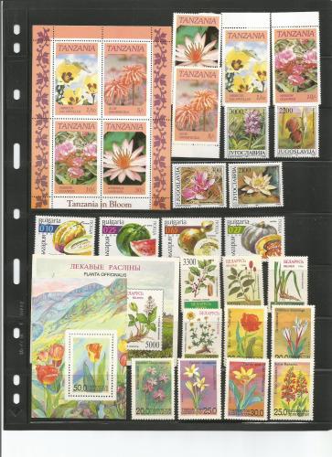 Coleccion de estampillas del tema flores  nu - Imagen 1