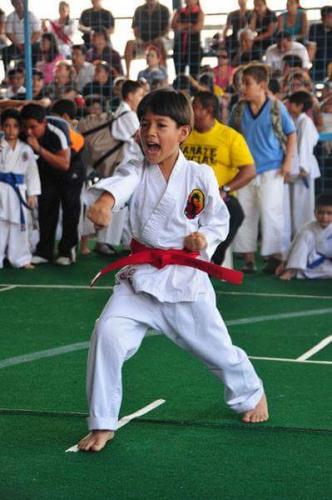 CURSOS GRATIS de taekwondo karate defensa per - Imagen 1