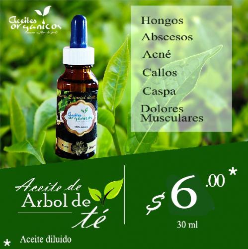 ACEITE DE ARBOL DE TE 30 ml Aceite diluido6 - Imagen 1