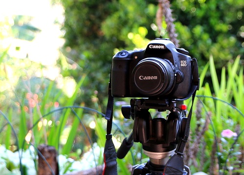 Vendo Camara Canon 60 d en excelentes condici - Imagen 1