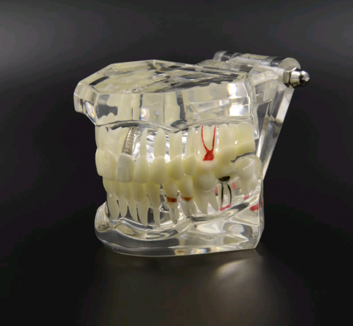 dentoformo dental multiusos explica fcil - Imagen 1