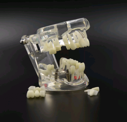 dentoformo dental multiusos explica fcil - Imagen 2