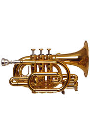 compro trompeta de bolsillo - Imagen 2