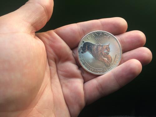 moneda de plata canadiense fina de una onza p - Imagen 3