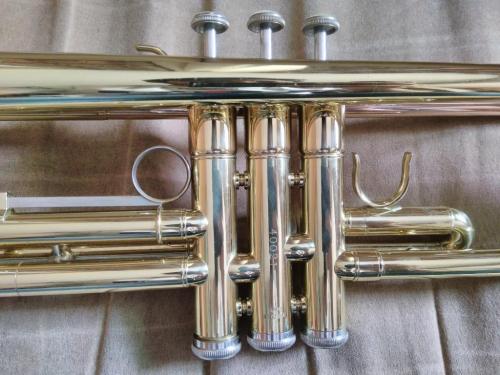 Vendo trompeta Etude ETR100 (USA) perfecta  - Imagen 2