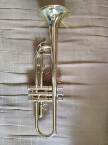 Vendo trompeta Etude ETR100 (USA) perfecta  - Imagen 1