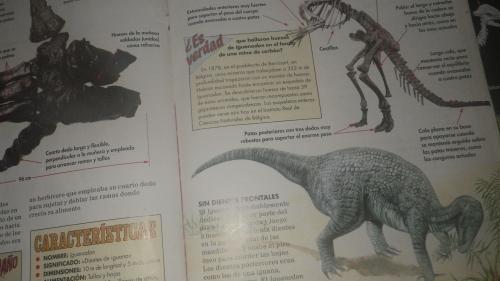 2 fasciculos de dinosarios de los 90s el 6 y  - Imagen 2
