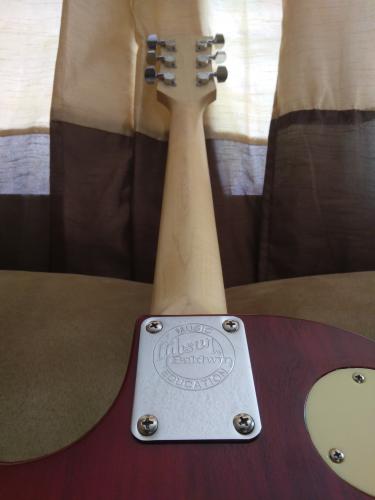 Guitarra eléctrica estilo Les Paul 225 Es  - Imagen 3
