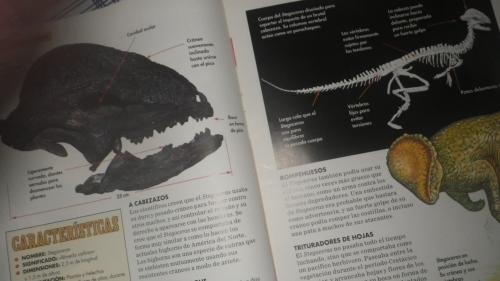 revistas 2 de dinosarios de los 90s 6 juntas - Imagen 2