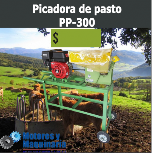Picadora de pastos PP300 una picadora eficie - Imagen 1