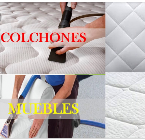 TWO CLEANING & SERVICES Limpieza y Desinfecci - Imagen 1