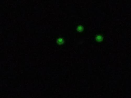 Miras nocturnas Tritium marca TruGlo American - Imagen 3