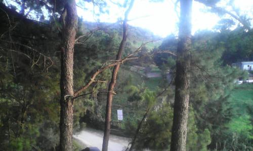 SE RENTA en  Miramundo La Palma Chalatenang - Imagen 2