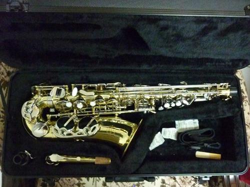 Vendo saxofon alto HOFFER con tan solo 3 mese - Imagen 2